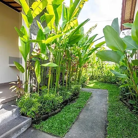 Sisin Ubud View