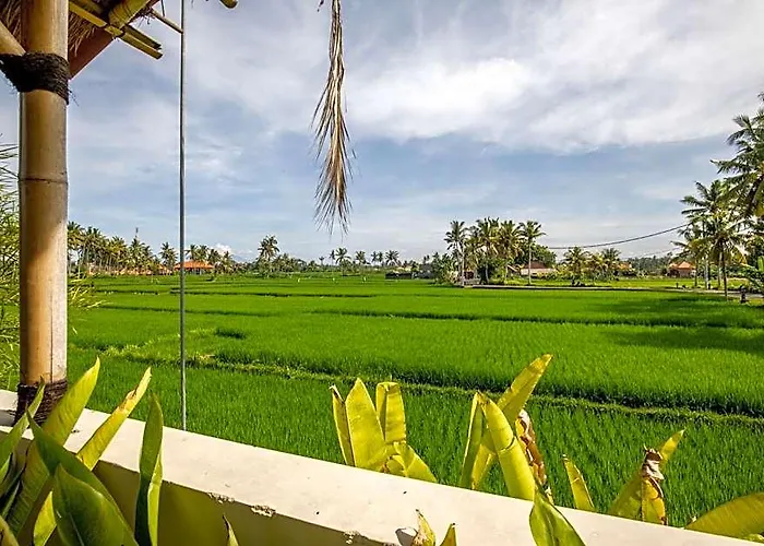 Sisin Ubud View 4*