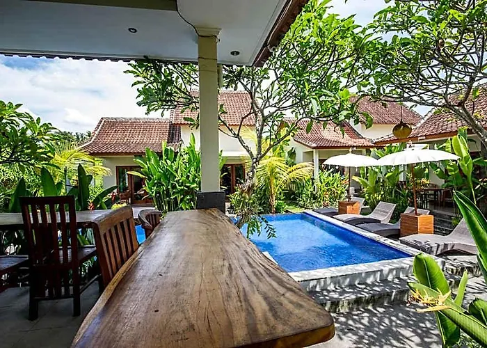 Sisin Ubud View